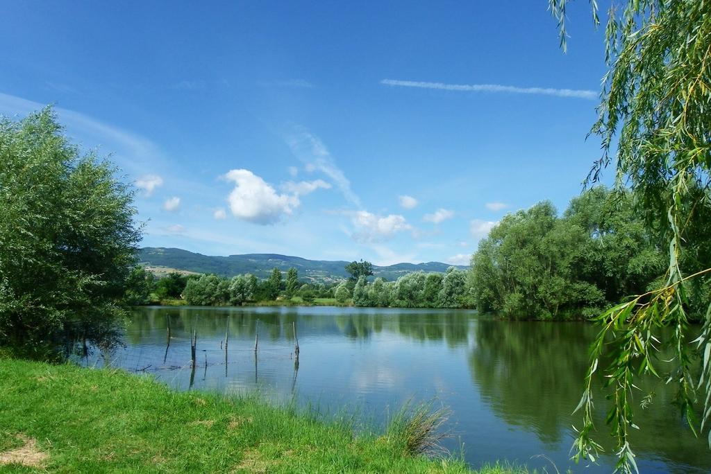 Domaine D'Aromm - Chambres D'Hotes & Gites - Piscine, Etangs & Animaux - Au Calme Ouches Экстерьер фото