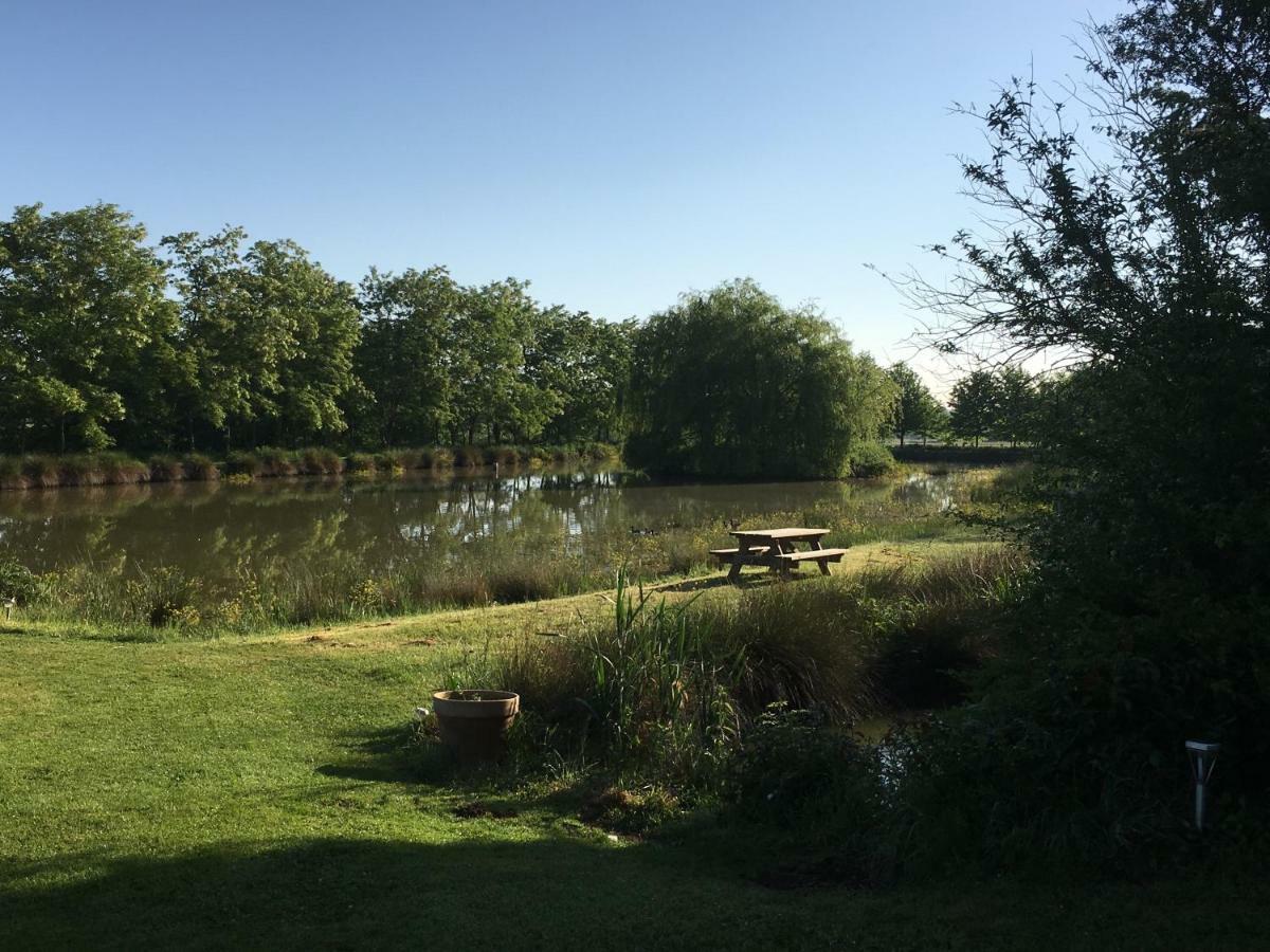 Domaine D'Aromm - Chambres D'Hotes & Gites - Piscine, Etangs & Animaux - Au Calme Ouches Экстерьер фото